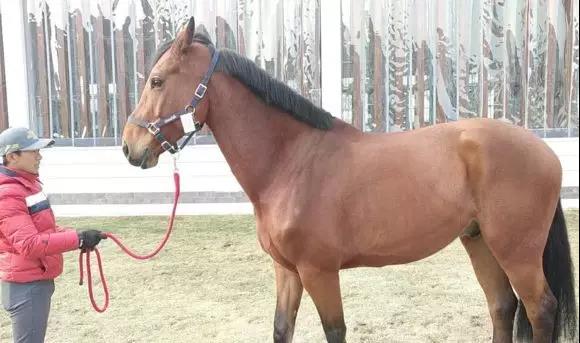 微信图片_20190301134729.jpg 微信图片_20190301134729.jpg