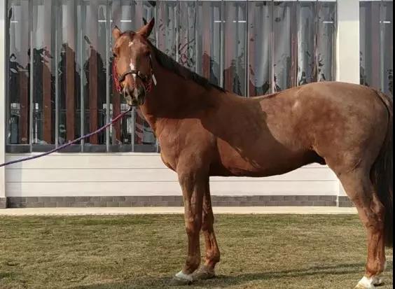 微信图片_20190301134736.jpg 微信图片_20190301134736.jpg