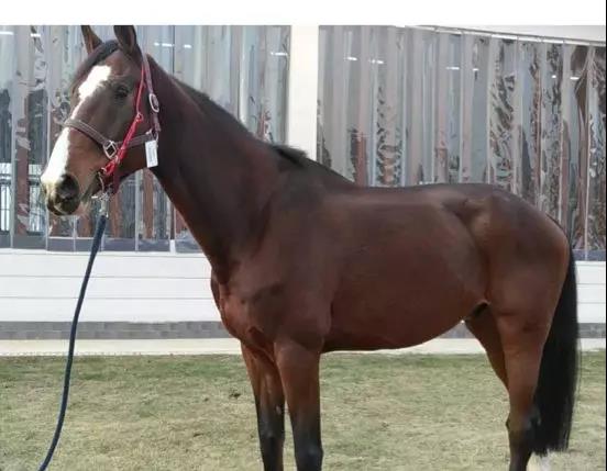 微信图片_20190301134744.jpg 微信图片_20190301134744.jpg