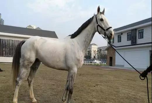 微信图片_20190301134749.jpg 微信图片_20190301134749.jpg