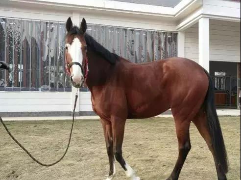 微信图片_20190301134756.jpg 微信图片_20190301134756.jpg