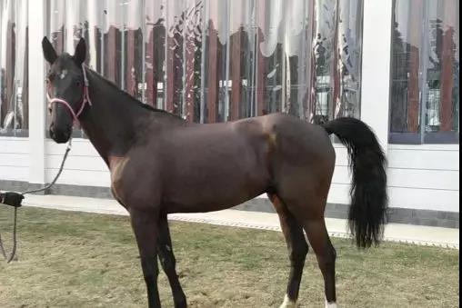 微信图片_20190301134802.jpg 微信图片_20190301134802.jpg