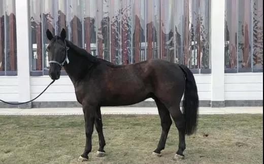 微信图片_20190301134808.jpg 微信图片_20190301134808.jpg