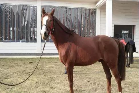 微信图片_20190301134813.jpg 微信图片_20190301134813.jpg