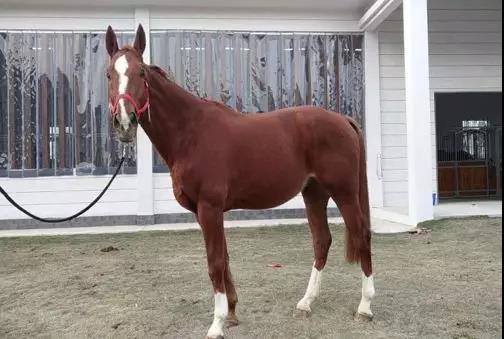 微信图片_20190301134816.jpg 微信图片_20190301134816.jpg