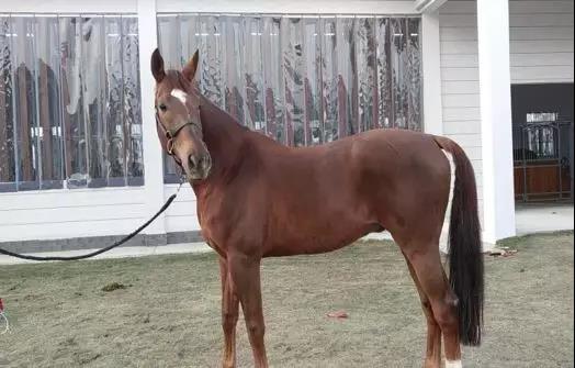 微信图片_20190301134820.jpg 微信图片_20190301134820.jpg