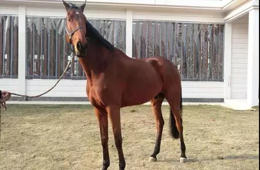 微信图片_20190301134823.jpg 微信图片_20190301134823.jpg