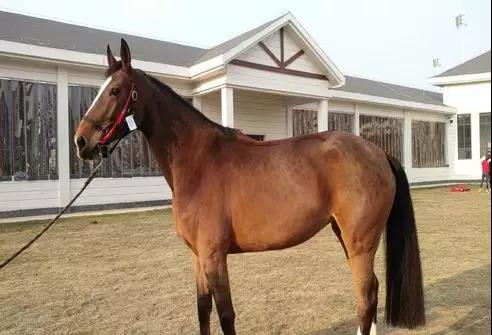 微信图片_20190301134827.jpg 微信图片_20190301134827.jpg