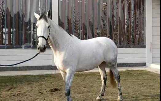 微信图片_20190301134831.jpg 微信图片_20190301134831.jpg