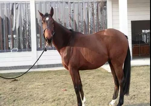 微信图片_20190301134834.jpg 微信图片_20190301134834.jpg