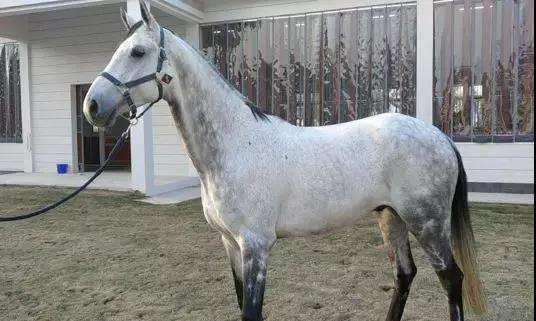 微信图片_20190301134837.jpg 微信图片_20190301134837.jpg