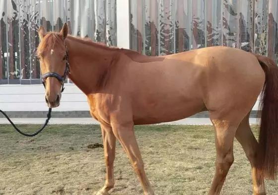 微信图片_20190301134841.jpg 微信图片_20190301134841.jpg