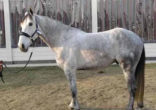 微信图片_20190301134844.jpg 微信图片_20190301134844.jpg