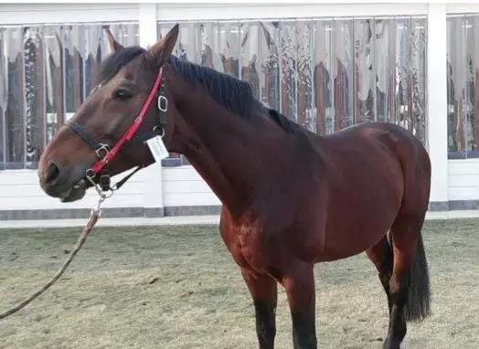 微信图片_20190301134848.jpg 微信图片_20190301134848.jpg