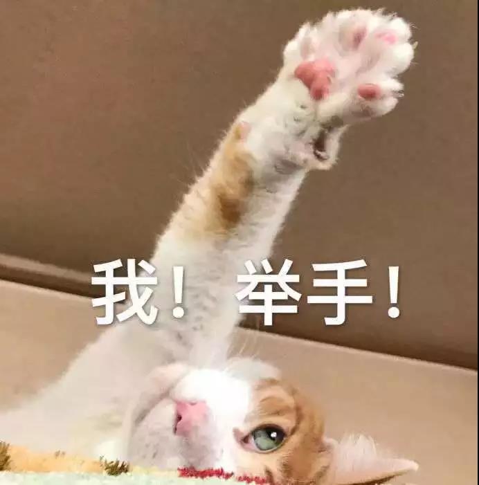 微信图片_20190301134854.jpg 微信图片_20190301134854.jpg