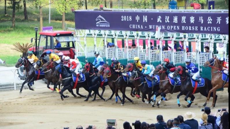 微信图片_20190309112913.jpg 微信图片_20190309112913.jpg