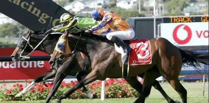 微信图片_20190309230258.jpg 微信图片_20190309230258.jpg