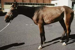 微信图片_20190311095111.jpg 微信图片_20190311095111.jpg