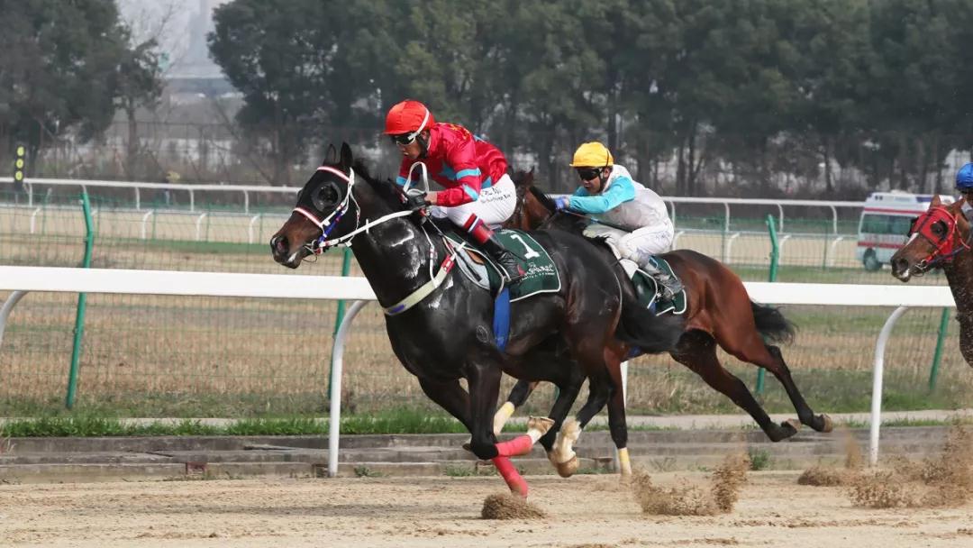 微信图片_20190312090936.jpg 微信图片_20190312090936.jpg