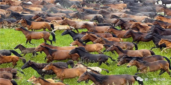 微信图片_20190507093356.jpg 微信图片_20190507093356.jpg