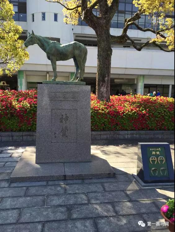 微信图片_20190517094829.jpg 微信图片_20190517094829.jpg