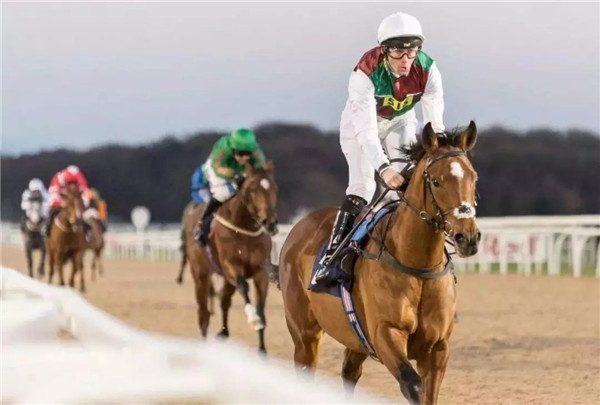 640.webp (17)_副本.jpg 640.webp (17)_副本.jpg