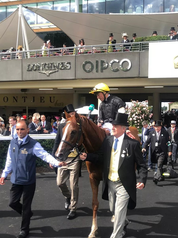 640.webp (70).jpg 640.webp (70).jpg