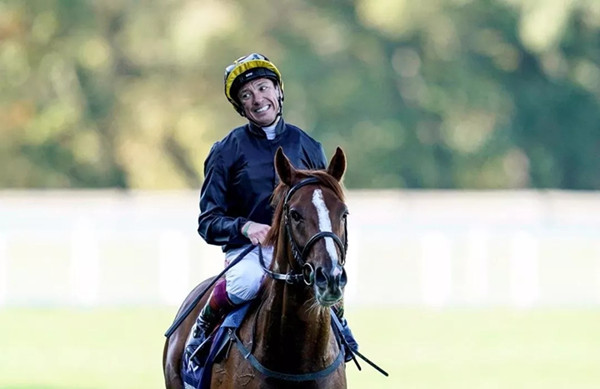 640.webp (73).jpg 640.webp (73).jpg