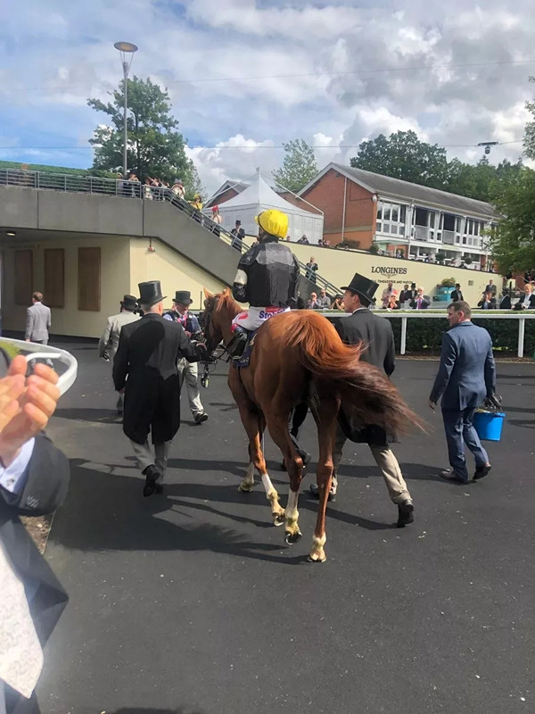 640.webp (74).jpg 640.webp (74).jpg