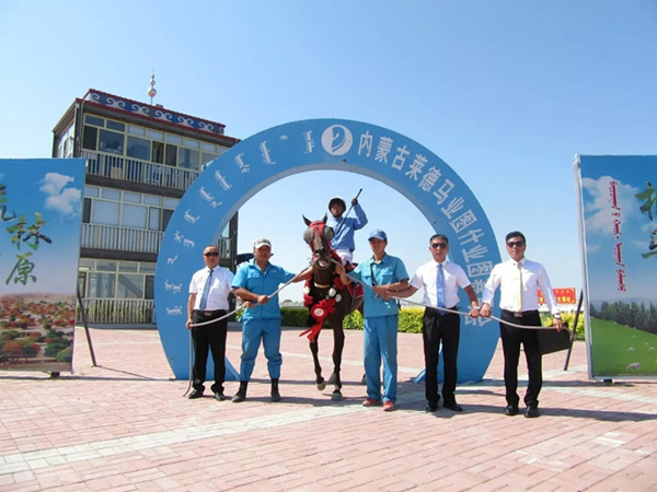 640.webp (43).jpg 640.webp (43).jpg