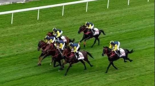 微信图片_20200713093841.jpg 微信图片_20200713093841.jpg