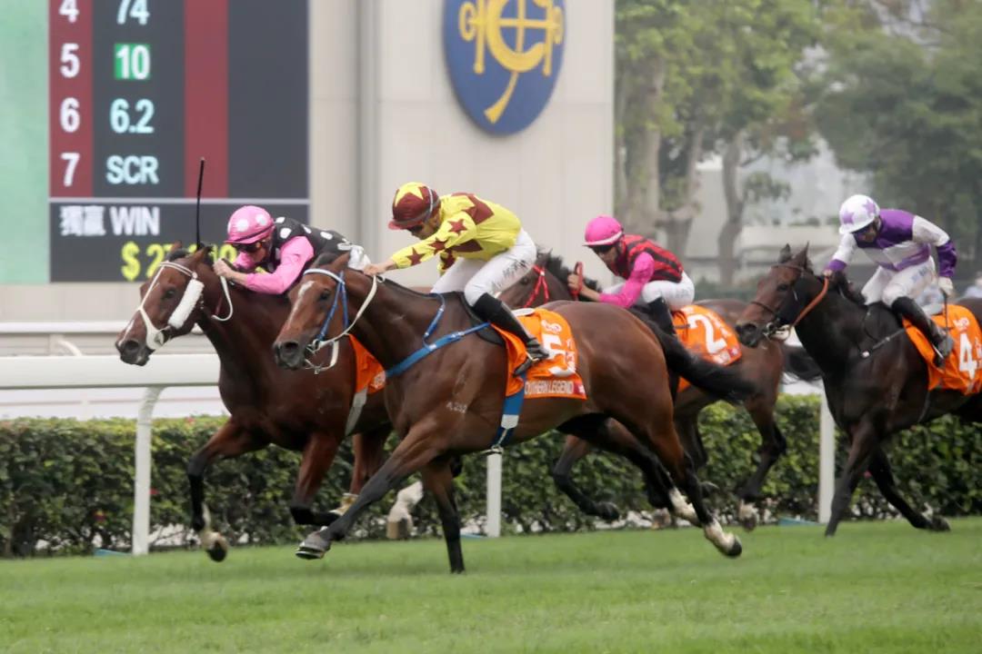 微信图片_20200713101654.jpg 微信图片_20200713101654.jpg