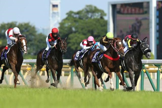 微信图片_20200724093151.png 微信图片_20200724093151.png