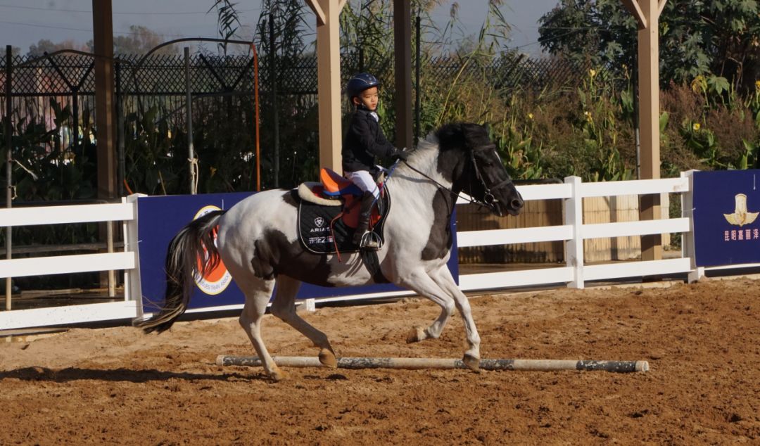 微信图片_20200817092139.jpg 微信图片_20200817092139.jpg