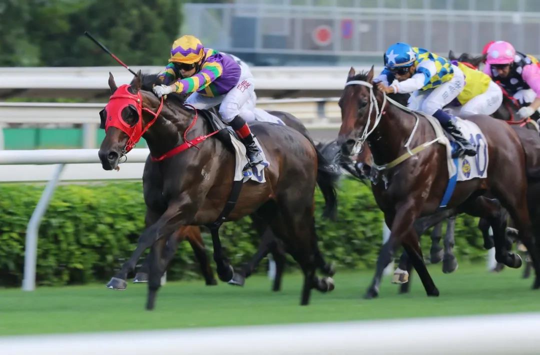 微信图片_20200908134945.jpg 微信图片_20200908134945.jpg