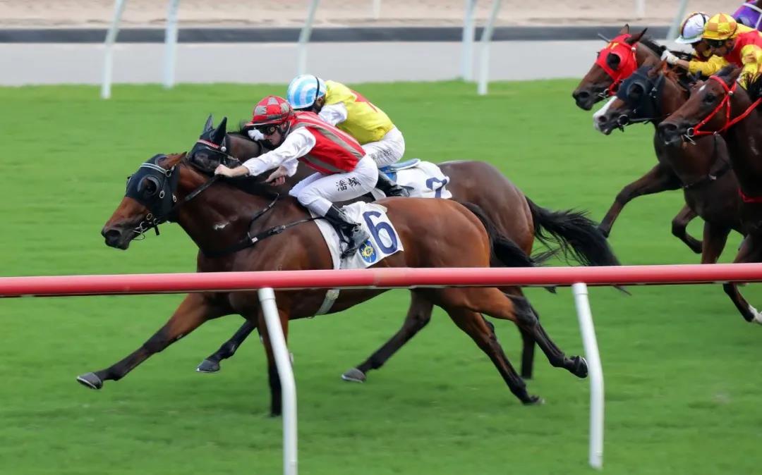 微信图片_20200908134953.jpg 微信图片_20200908134953.jpg