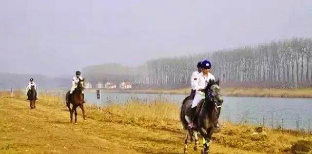 微信图片_20200911093654.jpg 微信图片_20200911093654.jpg