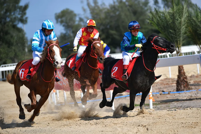 webwxgetmsgimg (1).jpg