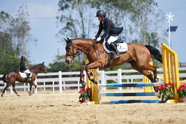 webwxgetmsgimg (4).jpg