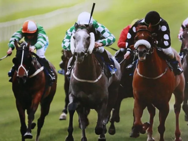 webwxgetmsgimg (4).jpg