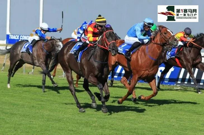 1610508656(1).jpg 1610508656(1).jpg