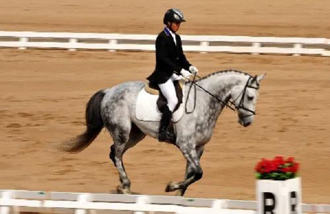 1610592333(1).jpg 1610592333(1).jpg