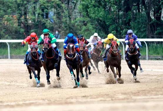 25993cf91d5649d3908ab14fe612ac57.jpeg 25993cf91d5649d3908ab14fe612ac57.jpeg