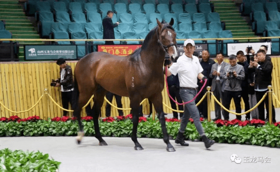 d4d65058ff6a459aa6505572bf950b46.png d4d65058ff6a459aa6505572bf950b46.png