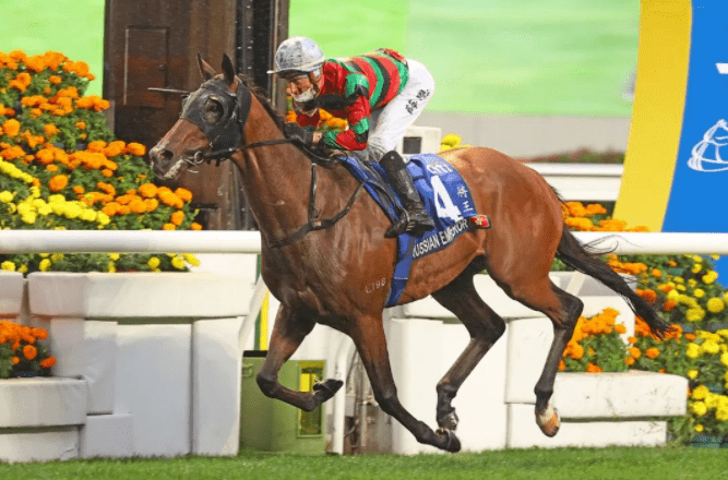 942210757f1d45619598188884b2f360.png 942210757f1d45619598188884b2f360.png