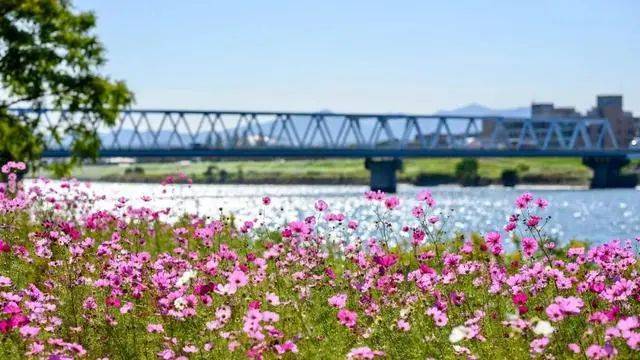 acc41ddb1a044bff8042cedd3dc6acfc.jpeg acc41ddb1a044bff8042cedd3dc6acfc.jpeg