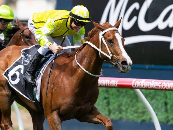 a778dd6d3b7e4f0d9a69a460e364ac6b.jpeg a778dd6d3b7e4f0d9a69a460e364ac6b.jpeg