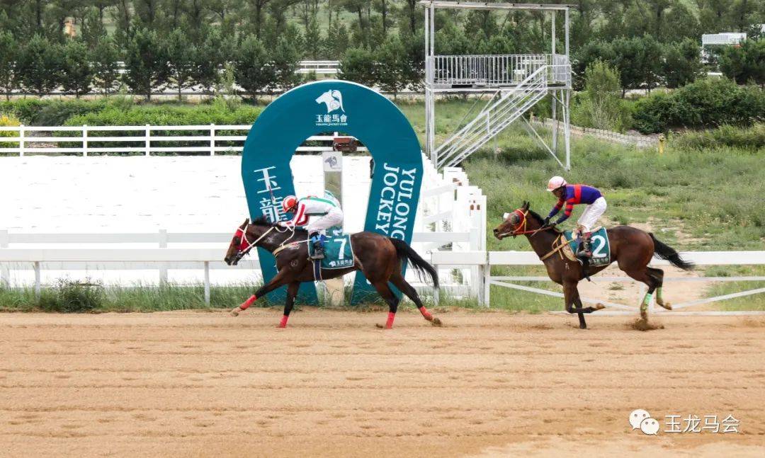 556ea29908254cf5b8a5c7c279d1b779.jpeg 556ea29908254cf5b8a5c7c279d1b779.jpeg