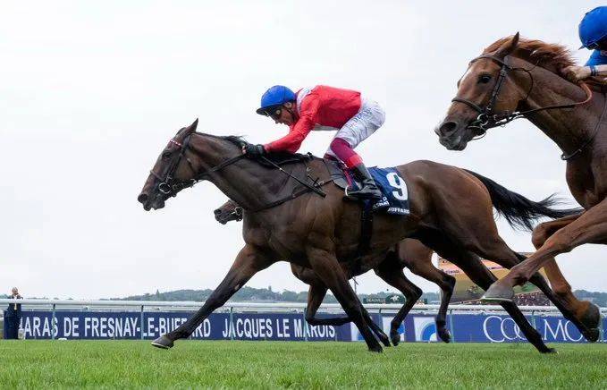 b6e991c427974feeb83b670b19c138f4.jpeg b6e991c427974feeb83b670b19c138f4.jpeg