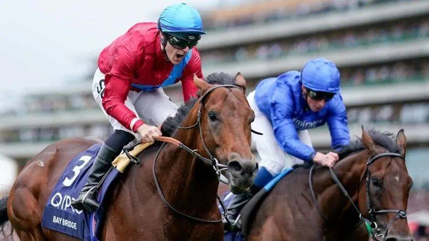 afc78332d81e425d988947eef73542cd.jpeg afc78332d81e425d988947eef73542cd.jpeg